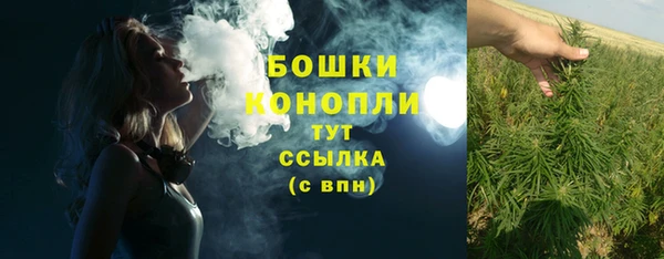 дурь Касимов