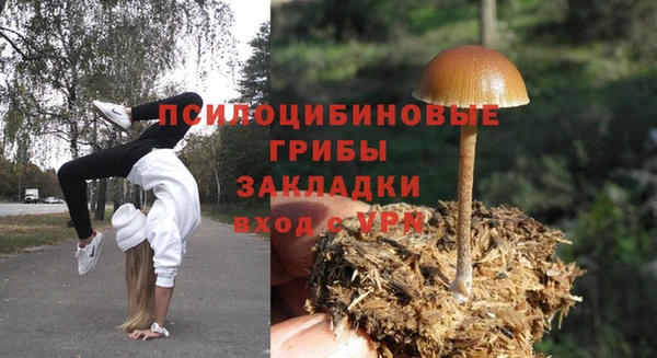 PSILOCYBIN Горно-Алтайск