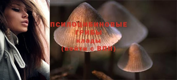 PSILOCYBIN Горно-Алтайск