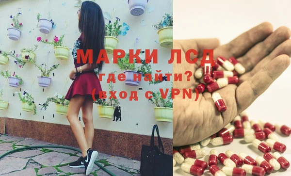 PSILOCYBIN Горно-Алтайск