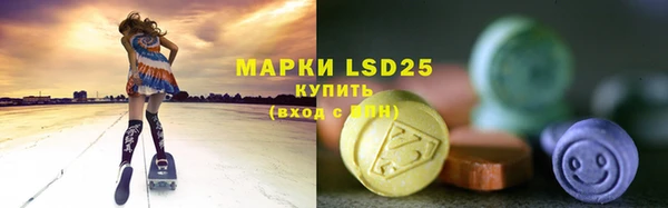 прущая мука Горняк