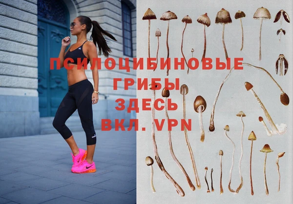 кокаин премиум Карпинск