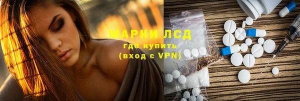 PSILOCYBIN Карталы