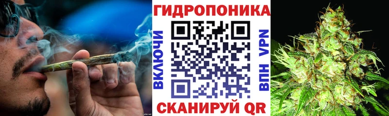купить закладку  Пустошка  Шишки марихуана AK-47 